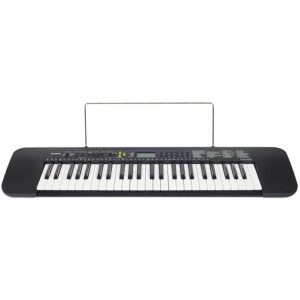 Casio ctk 240 keyboard