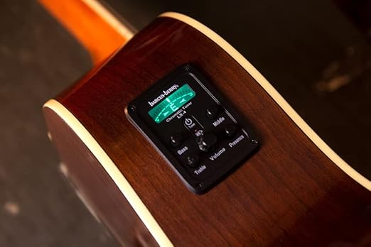 Washburn AG70CEK-A Apprentice Series Acoustic Electric Guitar - Image 3