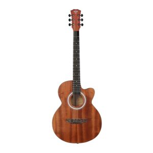 T-Fly TF239CM Acoustic Guitar