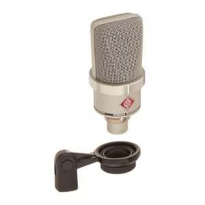 Neumann TLM 102, Large Diaphragm Condenser Microphone.