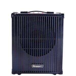 Stranger Cube C28 Guitar Amplifier