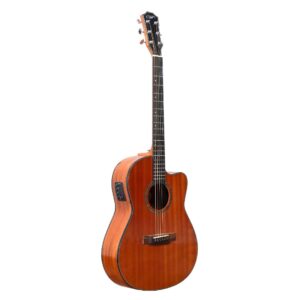 TECHNO THR239-SSC [SEMI-ACOUSTIC GUITAR]
