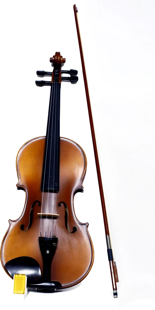 Techno 4/4 Classical (Modern) Violin (Brown Yes) - Image 2