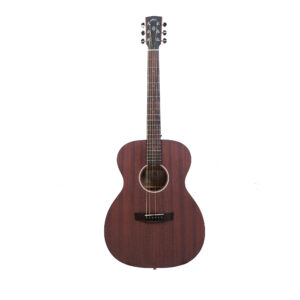 Hex F72M - Acoustic guitar - All sapele