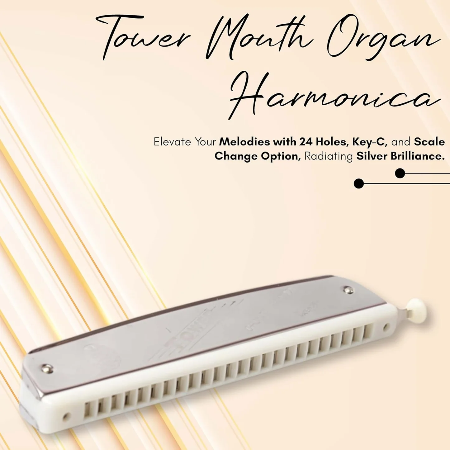 Tower Mouth Organ Harmonica 24 Holes Key-C With Scale Change Option, Silver - Image 4