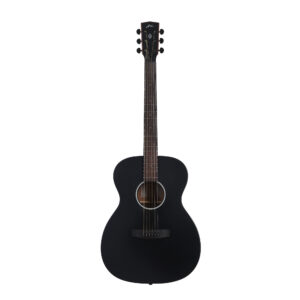 Hex F70M Semi Acoustic Guitar with Fishman EQ